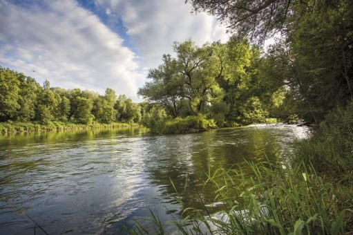 Naturerlebnisse am DonAUwald-Wanderweg