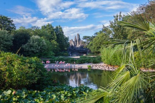 Die Stiftung Hagenbeck feiert ihr 25-jähriges Jubiläum