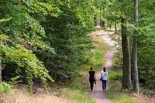 Das ganz besondere Muttertagsgeschenk: Waldbaden mit Geopark-Rangerin Claudia Aktories