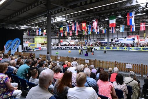 Ticketvorverkauf für Rassehunde-Ausstellung gestartet