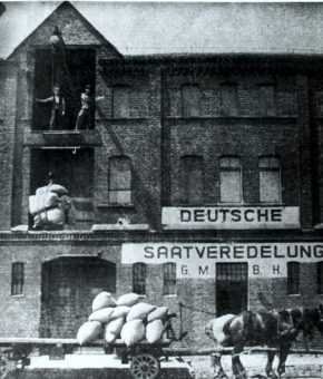 Die Deutsche Saatveredelung AG – eine 100-jährige Erfolgsgeschichte
