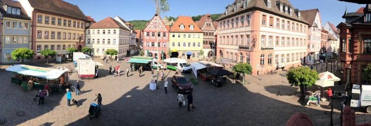 Grüner Markt im Herzen von Karlstadt Wollen auch Sie Ihre Produkte auf unserem Grünen Markt anbieten?