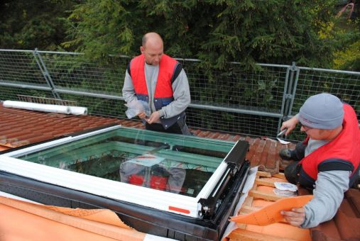Diese Ausbildung hilft dem Klima wirklich