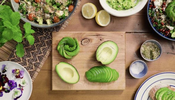 Auf den Bauch hören: Wie Avocados eine gesündere Verdauung unterstützen können
