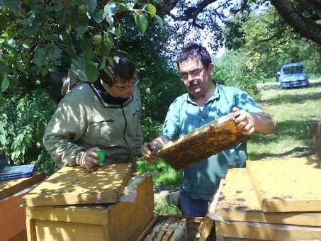 Bienengesundheit: Hohe Winterverluste im Jahr 2022 – Beratung und Forschung entscheidend für die Zukunft