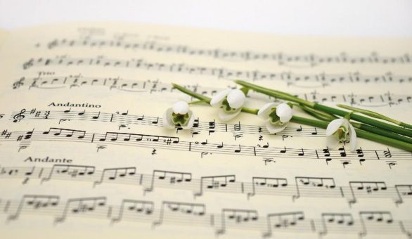 Klangblumen – Blumen musikalisch interpretiert