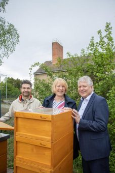 Stadtwerke siedeln ca. 150.000 Energie-Bienen auf Konzerngelände an