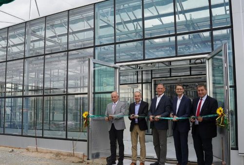 Deutsche Saatveredelung investiert weiter in die Pflanzenzüchtung – neues Gewächshaus in Betrieb genommen