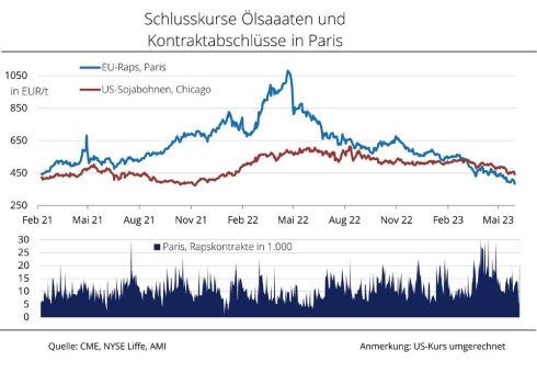 Massiver Rückgang der Rapskurse