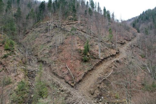 Rumänische Wälder und Natura-2000-Gebiete brauchen dringend Schutz