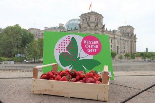 BUND-Erdbeertest: Giftige Verlockung im Körbchen