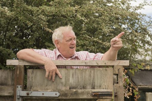 Streit am Gartenzaun: Welche gesetzlichen Regelungen für Kinderlärm, Grillgeruch und beim Gärtnern gelten