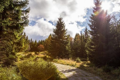 Wanderung „hoch und runter“