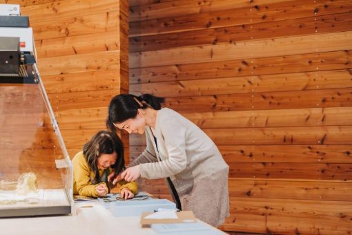 BODI-Entdeckungstouren und Ferienworkshops im LVR-LandesMuseum Bonn