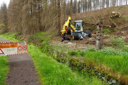 Landesforsten sichern mit Schreitbagger das Weltkulturerbe am Harzer-Hexen-Stieg