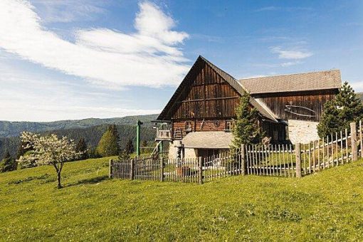 Idylle ade! Joyn lädt im Winter neun Promi-Paare ins „Forsthaus Rampensau Germany“ ein