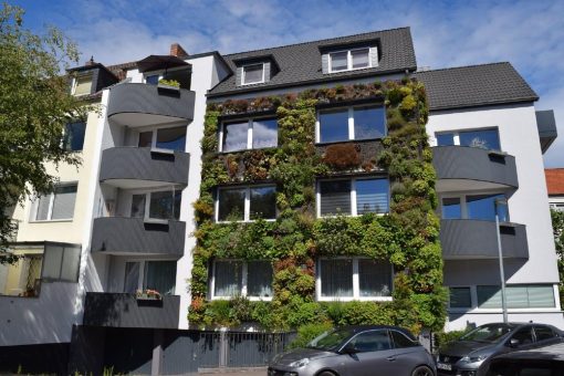 So grün können Immobilien sein