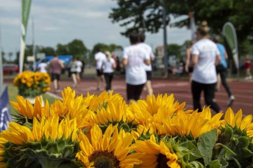 „Laufend gegen Krebs“ Dresden geht in die zweite Runde