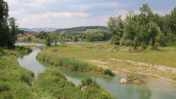 Gesucht sind Projekte für mehr Fläche für die Naturvielfalt