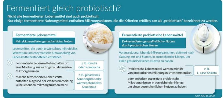 Die Bedeutung nützlicher Mikroorganismen in Lebensmitteln