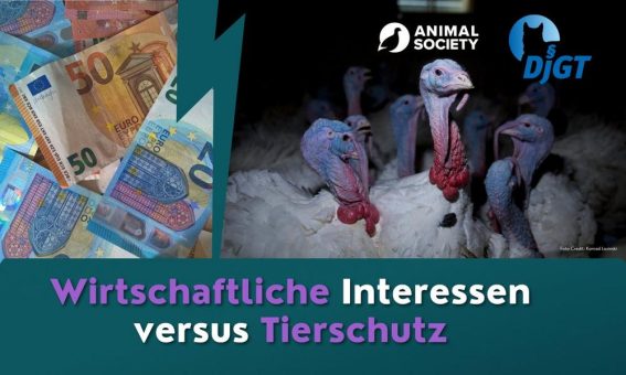 Wirtschaftliche Interessen versus Tierschutz