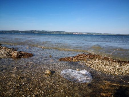 Mikroplastik-Einträge in den Bodensee: Kommunen können dagegen aktiv werden