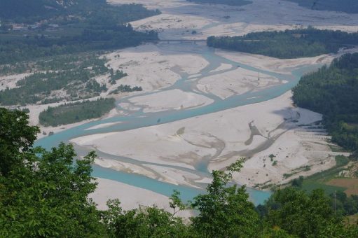 Flussauen und Küsten sind unverzichtbar für Biodiversität und Klima