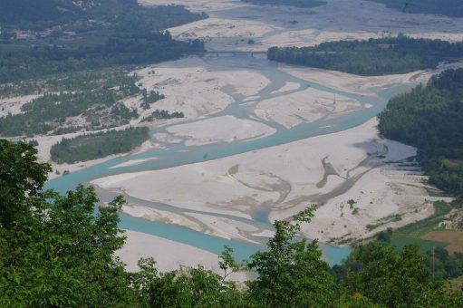 Flussauen und Küsten sind unverzichtbar für Biodiversität und Klima