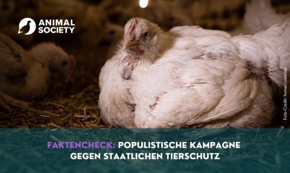 Agrarlobby und CDU/CSU gegen staatlichen Tierschutz