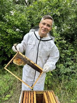 Mitten in Berlin: Großwäscherei bekommt neue Bienenvölker zum Weltbienentag