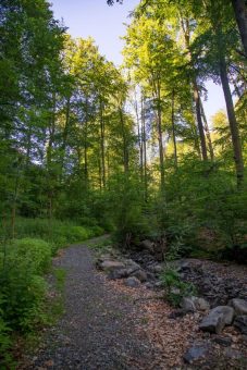 Kurzwanderung zum Molkenhaus