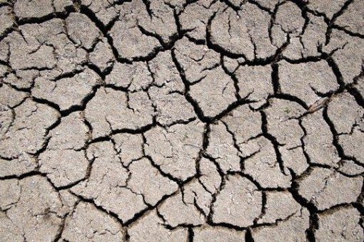 Mehr als die Hälfte der Deutschen wegen aktueller Trockenheit besorgt
