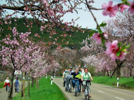 Geführte  Stern-Radreisen, Fahrradurlaub  und E-Bike Radtouren  an  der  Deutschen Weinstraße