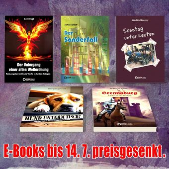 Die Kunst, gut Geschichten zu erzählen, Kritik der Literaturkritik und Krieg im 10. Jahrhindert – Fünf E-Books von Freitag bis Freitag zum Sonderpreis
