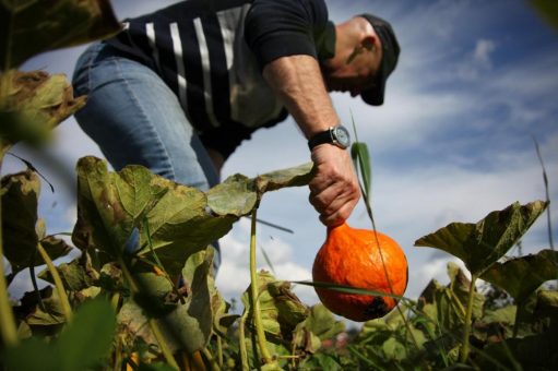 Zukunftstaugliche Agrarförderung: Vor dem Super-Trilog der EU fordert Slow Food die Berücksichtigung des Green Deal und keine voreiligen deutschen Alleingänge