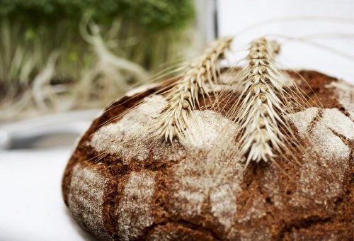Getreide fest und flüssig: Brot und Bier Online-Verkostung