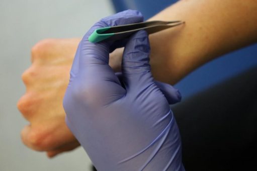 Frühlingszeit – Zeckenzeit: DRK-Kinderklinik rät zur Vorsicht!