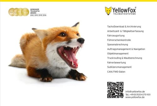 YellowFox mit Rekordumsatz im ersten Halbjahr 2019