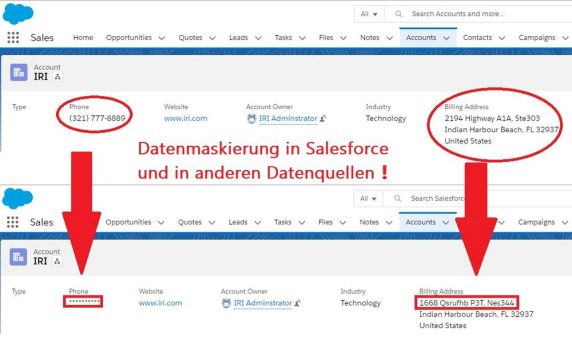 ❌Salesforce❌ Verbindung + Datenmaskierung in Salesforce ❗