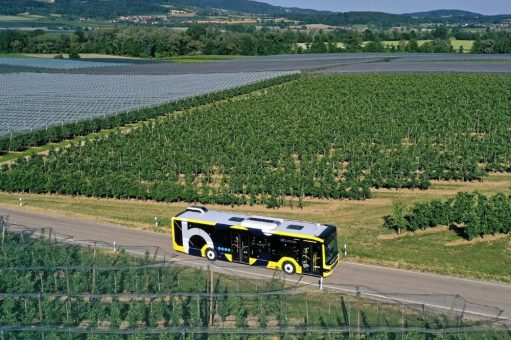 Von Bodman bis Lindau: Mehr Busse  in den Sommerferien
