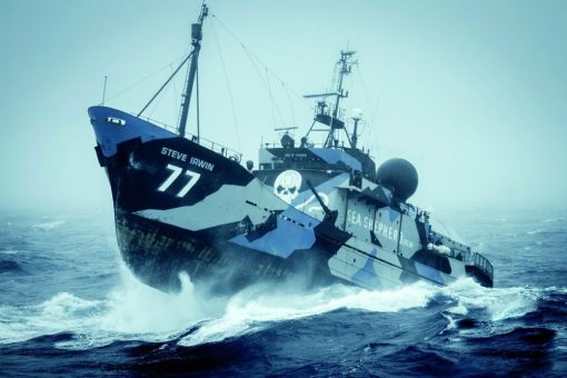 Meilenstein der Meere: Kirsch Import generiert eine Viertelmillion Euro für Sea Shepherd