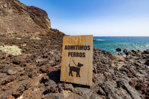 Kanarische Inseln für tierische Begleiter:  Die schönsten Strände für Ihre Vierbeiner