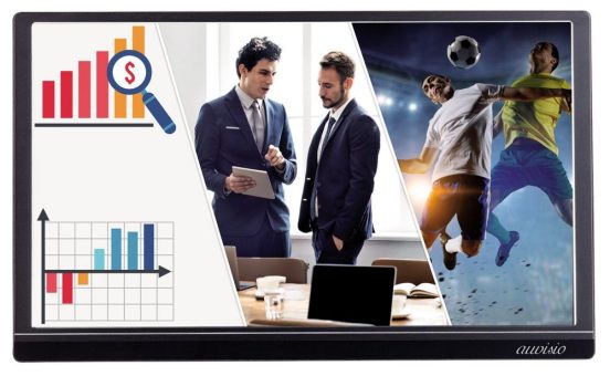 auvisio Mobiler Full-HD-IPS-Monitor EZM-210, 39,6 cm (15.6″), USB Typ C, HDMI
