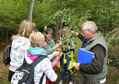 Gratisführung im Hutewald am 20. August