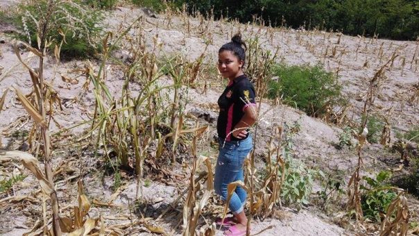 World Vision startet „Initiative zur Wiederbelebung des Trockenkorridors“ in Mittelamerika