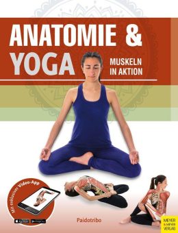 Anatomie & Yoga: Muskeln in Aktion erleben