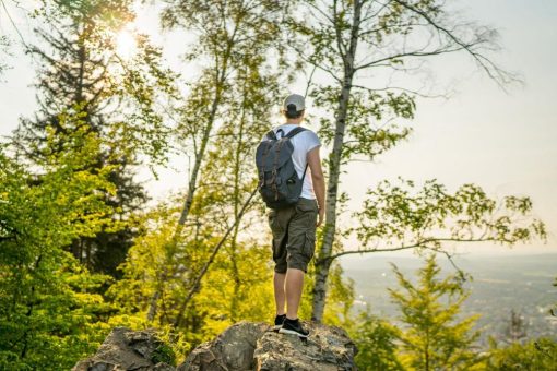 „Nach oben, zu den Bad Harzburger Hausbergen“