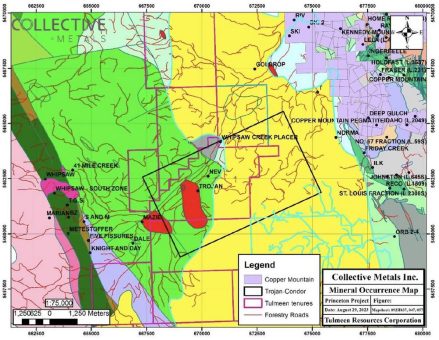 Collective Metals erörtert Whipsaw Property und andere Mineralvorkommen und ihre Bedeutung für die Princeton Projekt