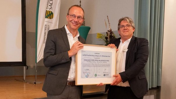 Königsbrücker Heide von der IUCN als erstes Wildnisgebiet in ganz Deutschland anerkannt