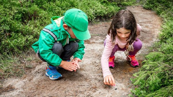 Kita BeerenStark ist wiedereröffnet – und nimmt noch Kinder auf